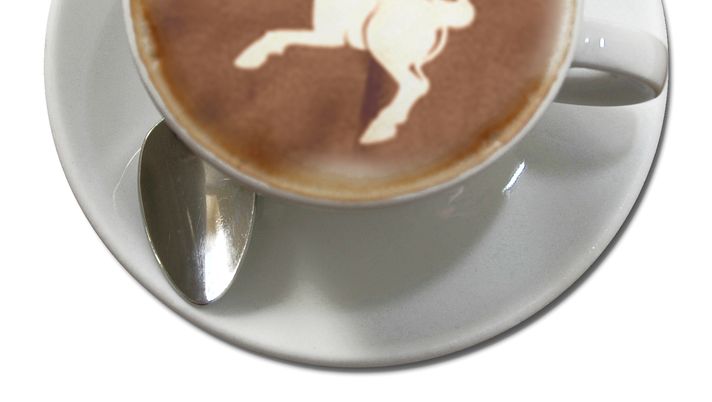 Tracce di Toro - immagine 1