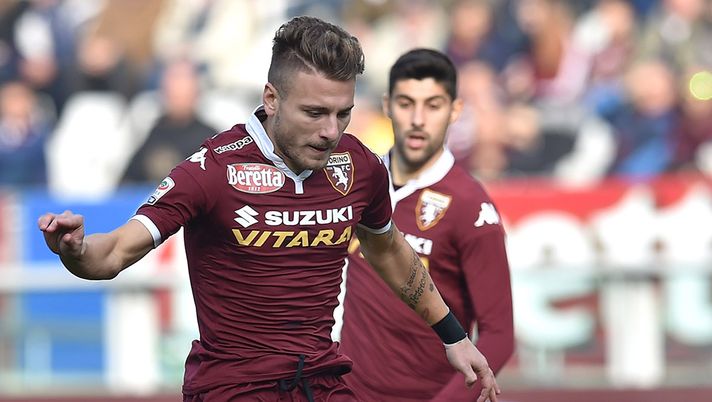 Immobile, formazioni