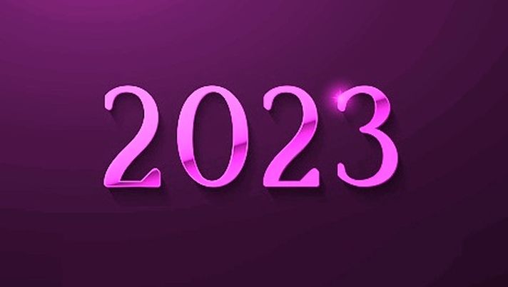 109 reti e 33 vittorie in un anno solare, mai successo nella storia viola! - immagine 1