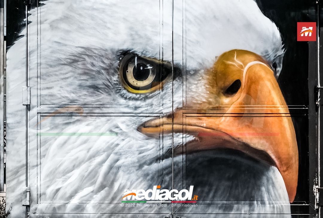 FOTO: I nuovi murales dello stadio ‘Renzo Barbera’ di Palermo (Gallery) - immagine 11