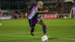 Fortini, Mandragora e Dodò: ecco come stanno in vista del Verona