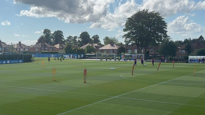 Fiorentina alla ricerca di risposte: le scelte per il Nottingham e l’arrivo di Sohm - immagine 1