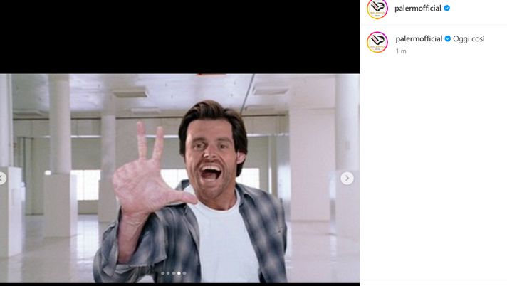 Palermo, Brunori come Jim Carrey e Jack Nicholson: i meme del club rosa sui social Palermo