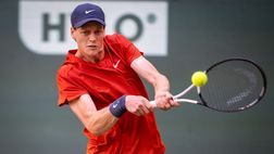Il tabellone di Sinner ad Halle: possibile finale contro Zverev