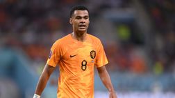 Gibilterra-Olanda, le probabili formazioni: Koeman con Gakpo e Schouten. Ok Barr