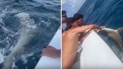 Ex Milan, Joao Felix ‘pesca’ uno squalo in un mare di polemiche | VIDEO