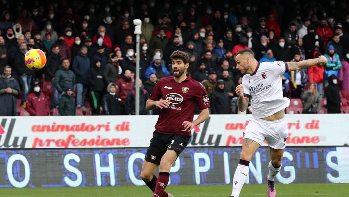 Bologna, Arechi bestia nera e Salernitana prolifica: le difficoltà del match di domenica- immagine 1