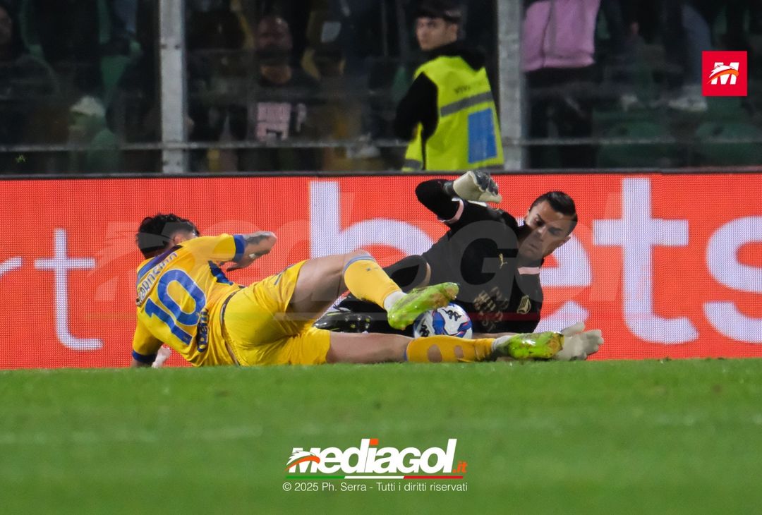 FOTO Palermo – Frosinone | Serie B 2024/25 - immagine 34