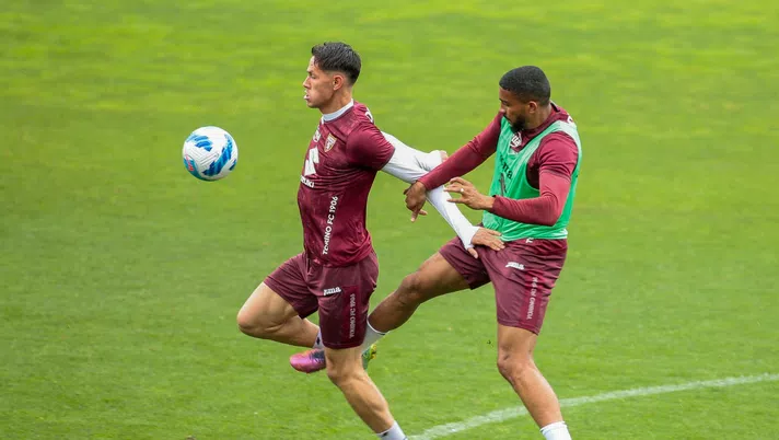 Torino, la classifica dei giocatori più impiegati: in testa Lukic e Bremer - immagine 1