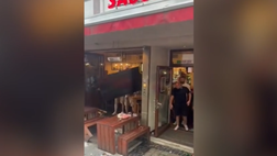 Olanda-Inghilterra, tifosi olandesi attaccano bar pieno di inglesi: 10 arresti e 4 feriti