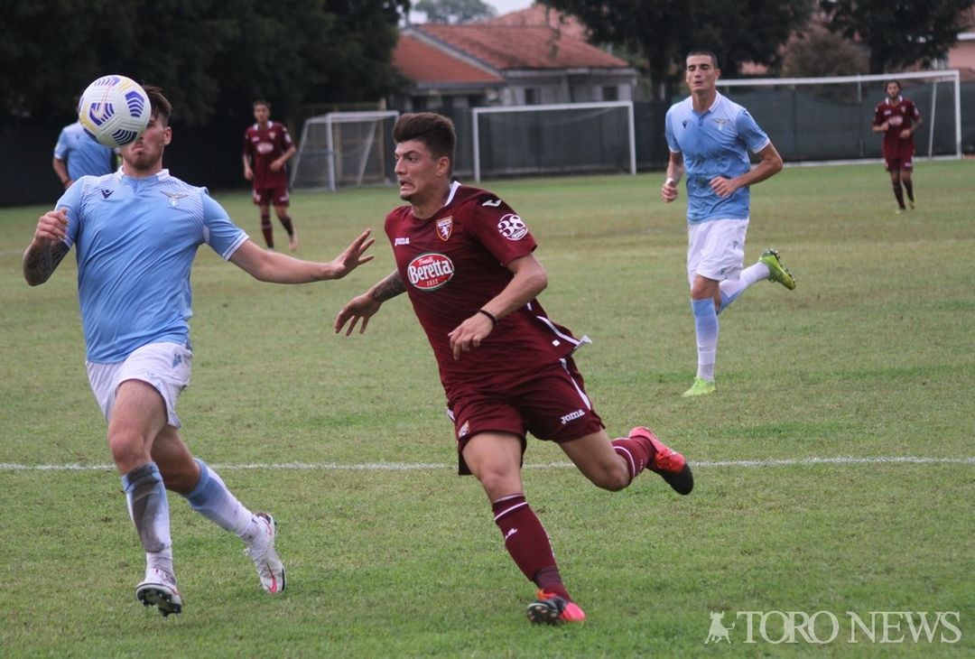 Cancello Torino Primavera