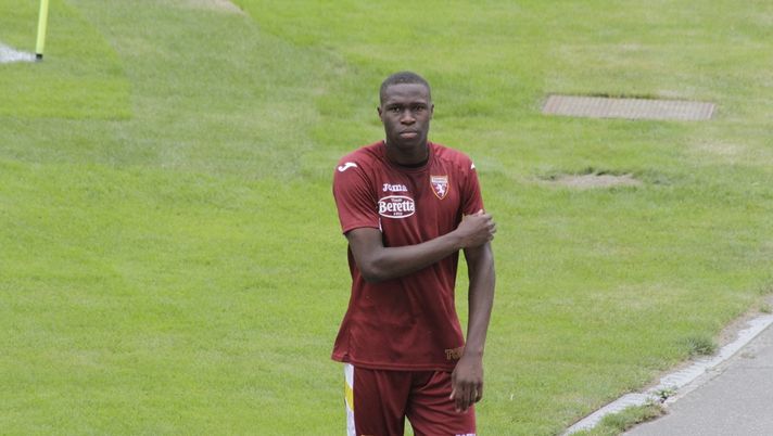 Torino, Singo out per almeno due settimane: escluse fratture ossee Torino, Singo out per almeno due settimane: escluse fratture ossee - immagine 1