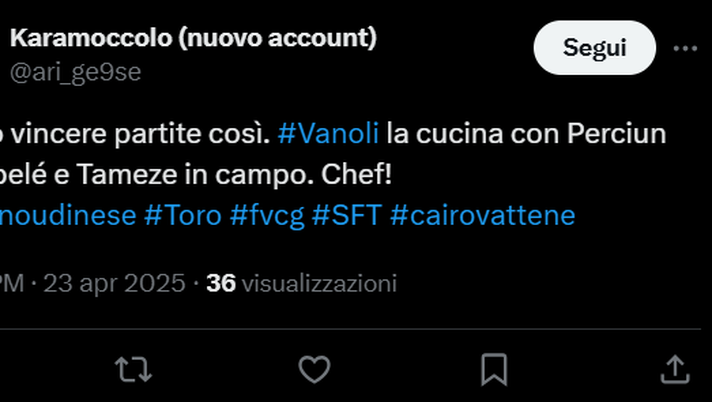 Torino-Udinese 2-0, le reazioni social: “È raro vincere partite così. Vanoli chef” - immagine 1