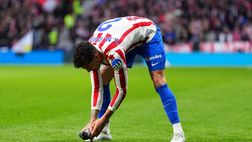 Piccione colpito dal pallone durante Atletico Madrid-Real Sociedad: Gimenez arriva in soccorso