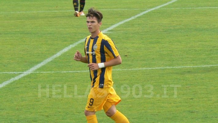 Primavera, le formazioni ufficiali di Torino-Verona  Primavera, le formazioni ufficiali di Torino-Verona - immagine 1