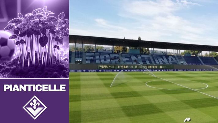 GIOVANILI VIOLA: cosa è successo in campo nelle partite del week end- immagine 2