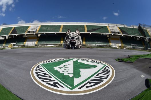 Avellino-Palermo, dove vedere la partita in diretta tv e streaming LIVE- immagine 2