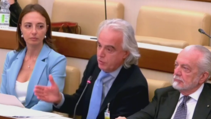 Grassani: “La A ha versato 220 milioni agli agenti nel 2023, un dato che non regge” Grassani: “La A ha versato 220 milioni agli agenti nel 2023, un dato che non regge” - immagine 1