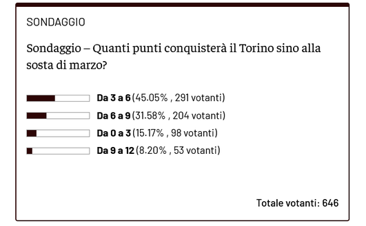 Con quanti punti arriverà il Torino alla sosta di marzo? I risultati del sondaggio- immagine 2