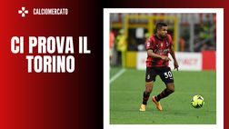 Calciomercato Milan – Messias via? Contatti continui col Torino