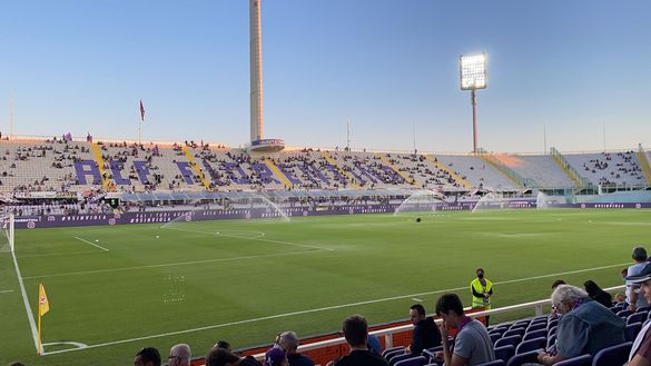 Fiorentina-Torino, le ultime dai campi: granata in campo- immagine 2