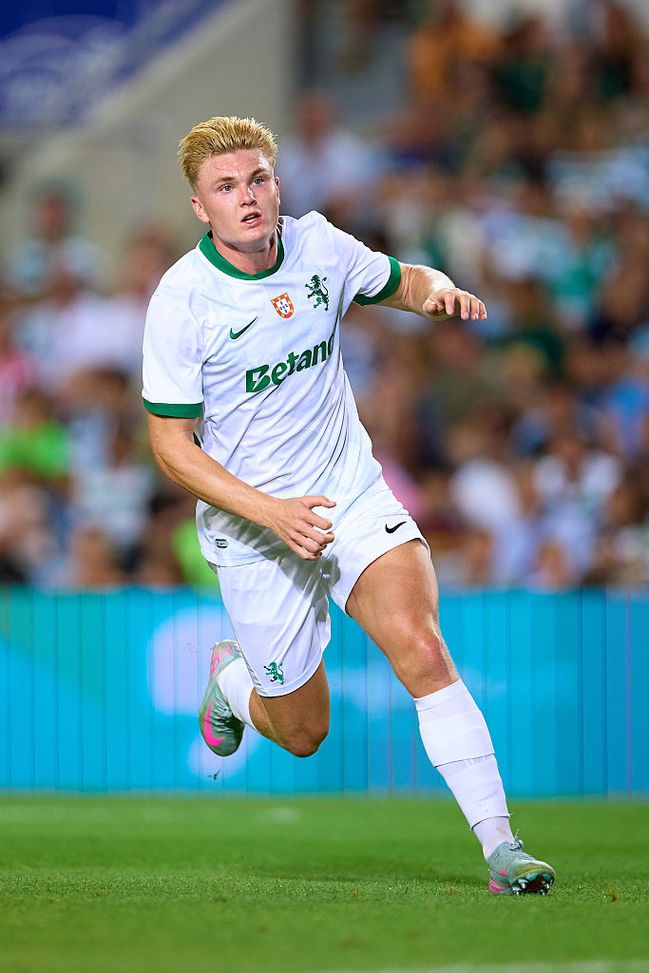 Milan, Harder e la critica dell’attaccante giovane al momento sbagliato- immagine 2