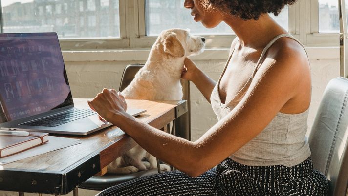 I migliori bonus del 2023: i Casinò non AAMS che fanno la differenza I migliori bonus del 2023: i Casinò non AAMS che fanno la differenza - immagine 1