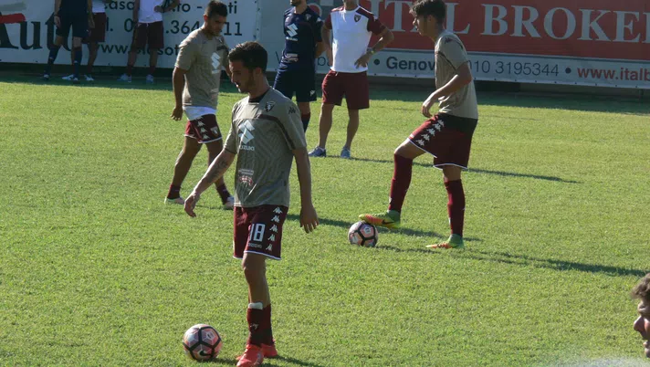 Luese-Torino, la formazione granata: Valdifiori subito in campo - immagine 1