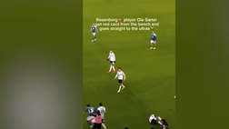 VIDEO / Ole Saeter espulso in campo va in tribuna con gli ultrà