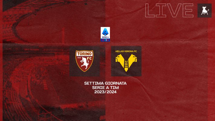 FINALE! Torino-Verona 0-0 - immagine 1