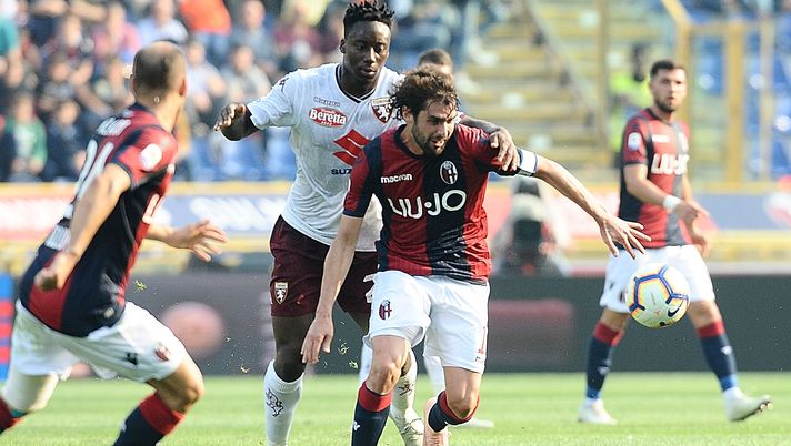 Bologna, continua la preparazione in vista del Torino - immagine 1