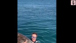 VIDEO / Federica Pellegrini adotta una tartaruga e la libera in mare