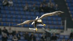 Lazio, l’aquila è all’Olimpico per i voli di prova – FOTO