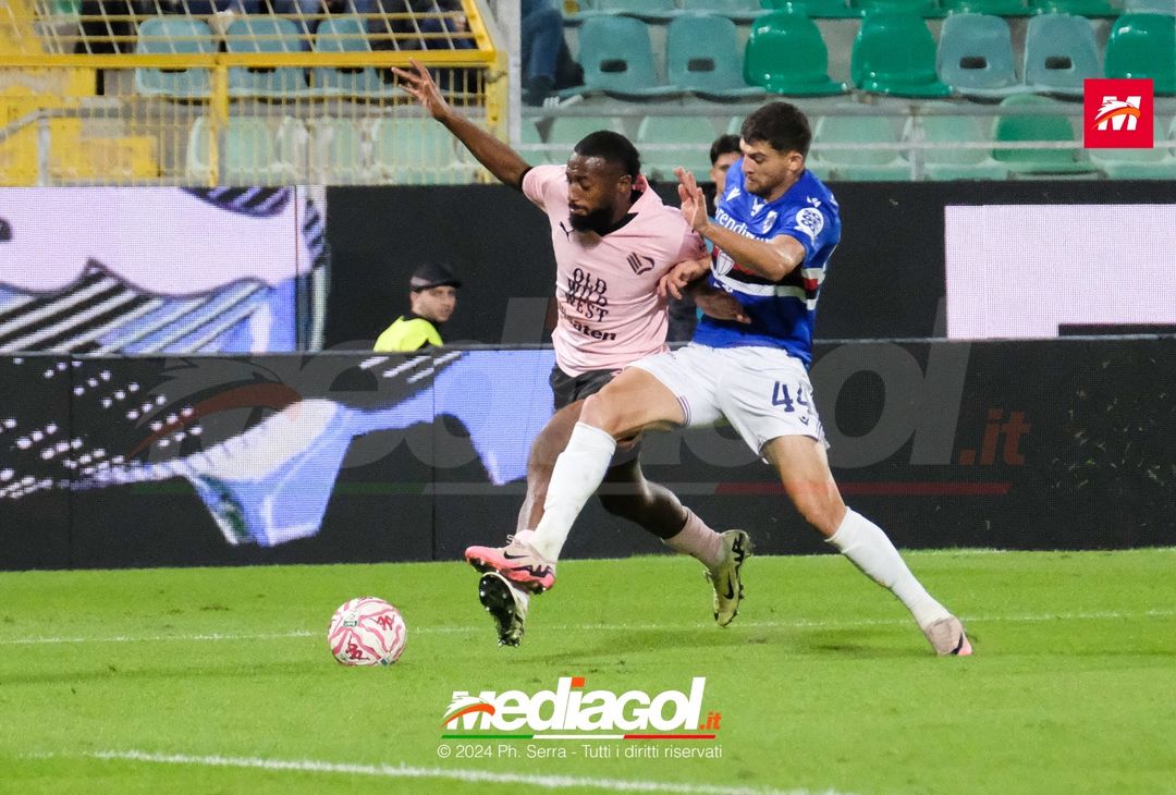 FOTO Palermo – Sampdoria Serie B 2024/25 - immagine 20