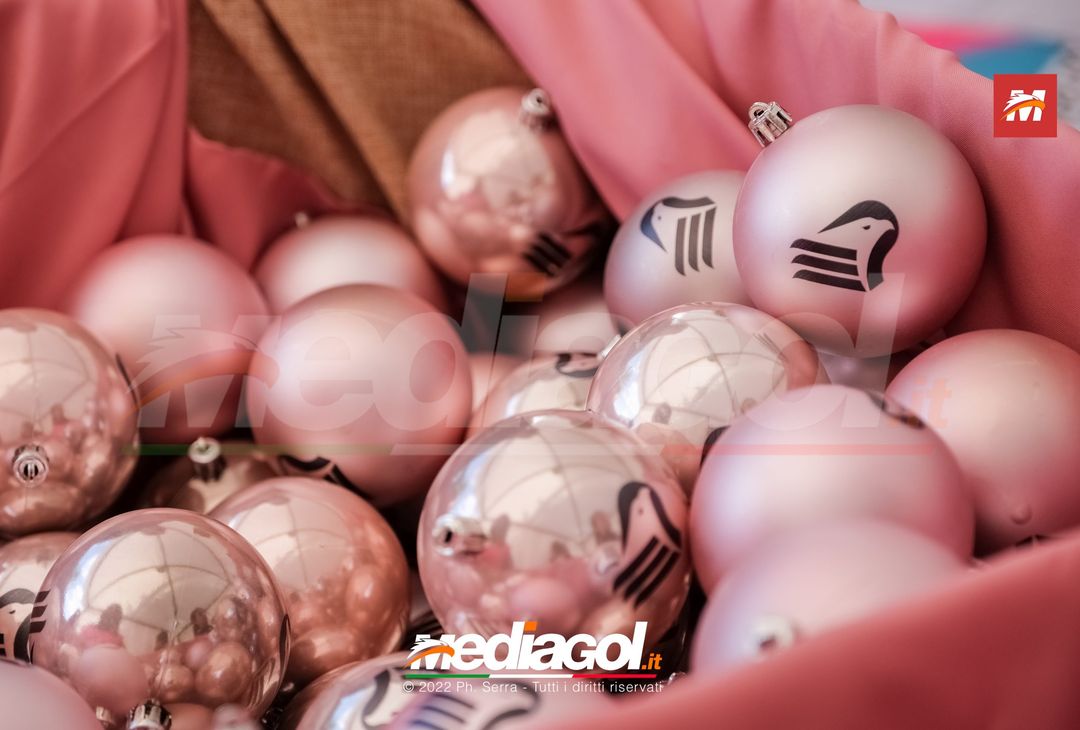 FOTO PALERMO: Tombola con Stefano Piazza e Chris Clun al ‘Renzo Barbera’ (Gallery) - immagine 9