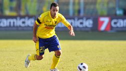 Modena, pronto per il Napoli in Coppa Italia: pari con il Cagliari in amichevole