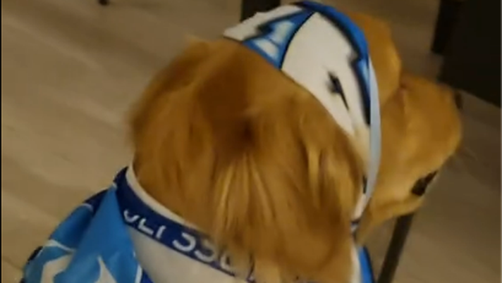 desc img