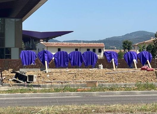 FOTO VN – Al Viola Park spunta la scritta per Rocco Commisso- immagine 3