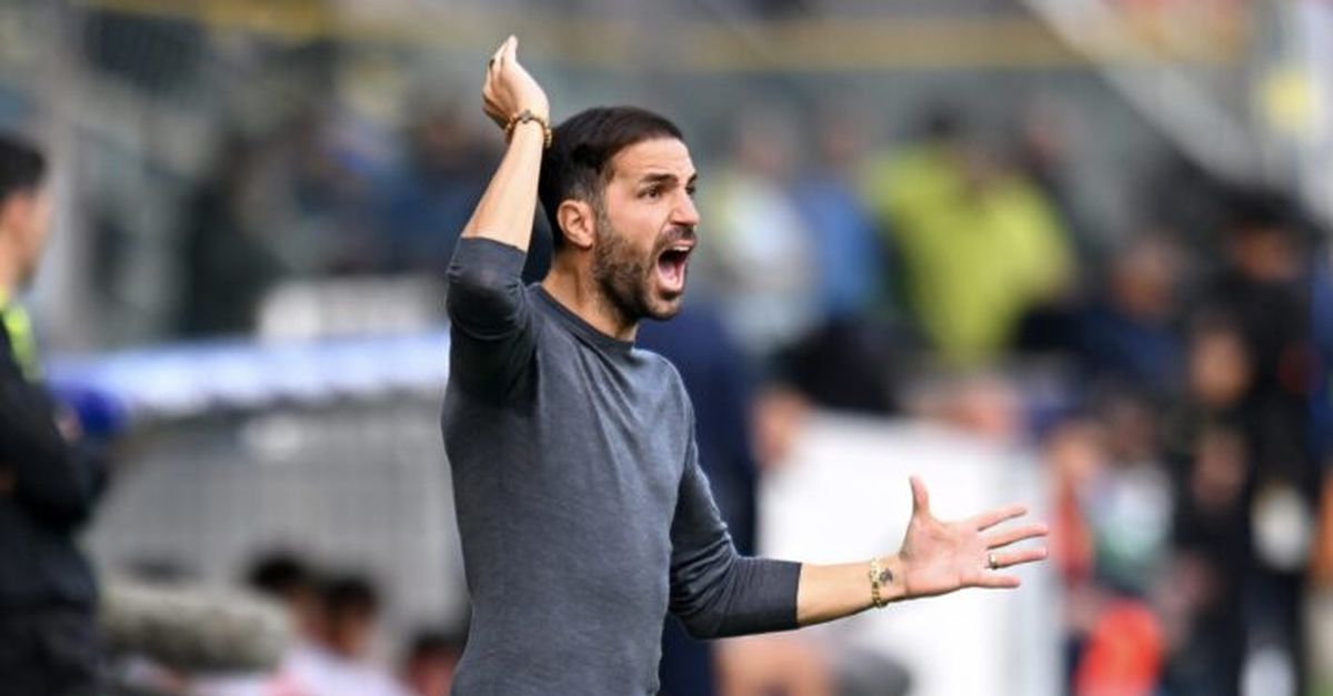 Como, Fabregas: "A noi allenatori non viene dato tempo. Arsenal, Psg... Le big si costruiscono così"
