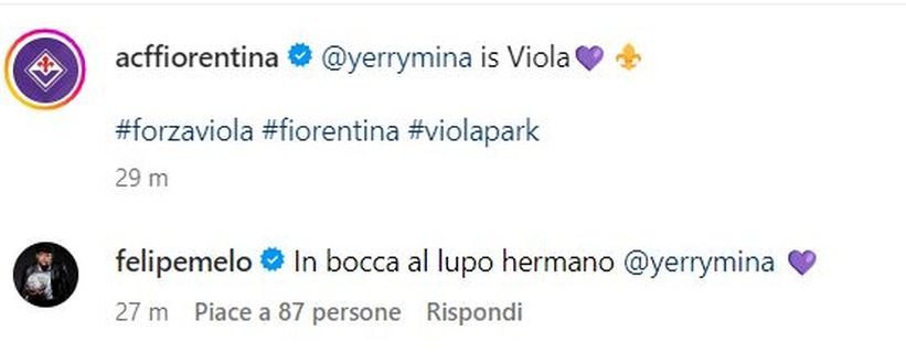 FOTO – Felipe Melo fa l’in bocca al lupo all’ex compagno Mina- immagine 2