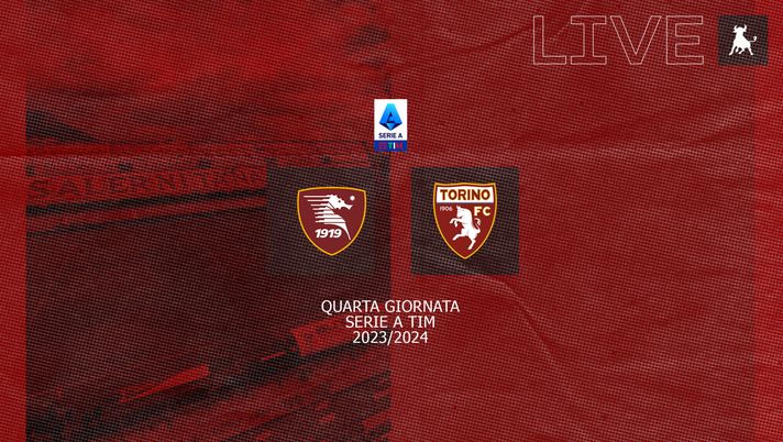 FINALE! Salernitana-Torino 0-3 - immagine 1