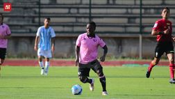 Palermo, Odjer scalpita: l’ex Trapani opzione per Filippi in un centrocampo top
