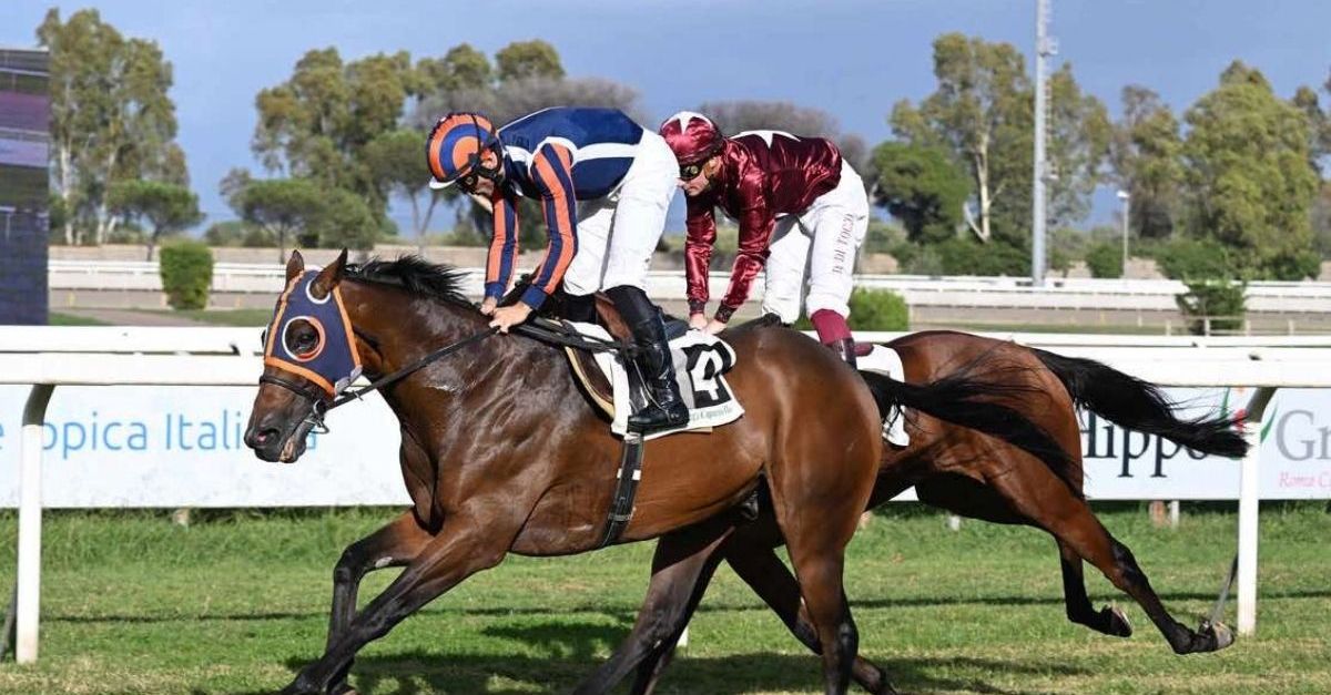 Sconfitto in volata Mr. Darcy: secondo posto per il cavallo di Allegri