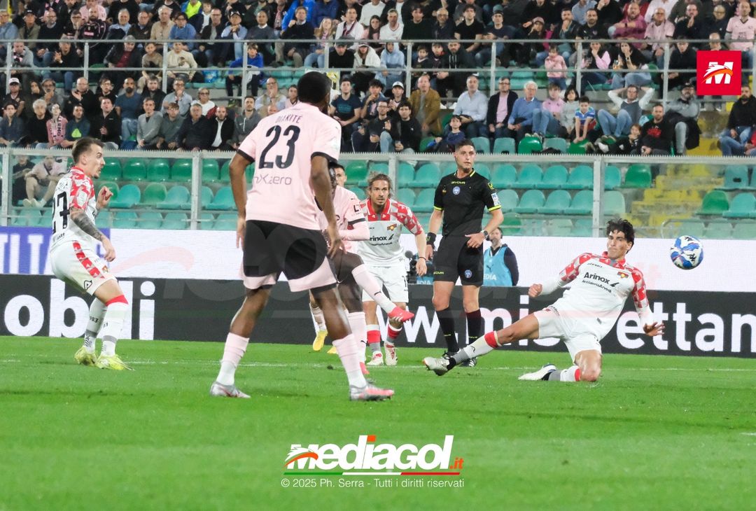FOTO Palermo – Cremonese 2-3 | Serie B 2024/25 - immagine 27