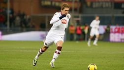 Toro pronto a incornare la Lupa