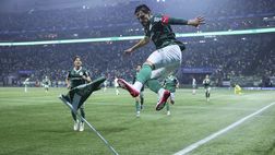 Palmeiras-Bragantino: dove vedere il match in diretta TV e streaming LIVE