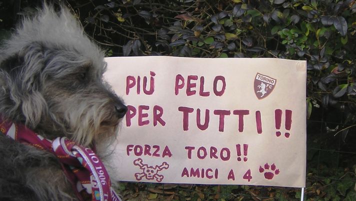 Le due bonazze bolognesi (con tutto il rispetto) - immagine 1