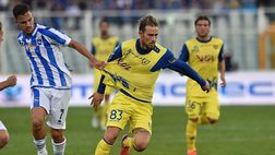 Serie B, Floro Flores: “Palermo delusione? Bisognerebbe vivere lo spogliatoio”