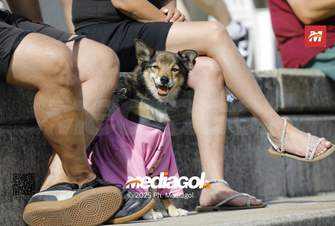 FOTO, Ritiro Palermo: i primi tifosi a Chatillon, c’è anche un cane rosanero- immagine 1