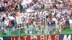 ‘Forza Toro, alè Viola!’